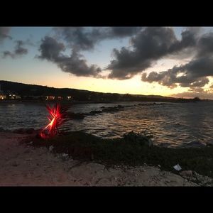 Meet your Posher, Carol